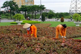 Hà Nội đặt mục tiêu tăng tỷ lệ bình quân cây xanh lên gấp 6 lần