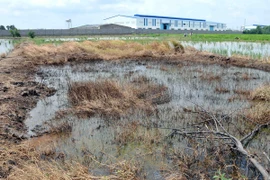 Điểm mặt hàng loạt doanh nghiệp vi phạm về bảo vệ môi trường