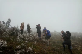 Xuất hiện rét đậm, rét hại trên diện rộng ở miền Bắc