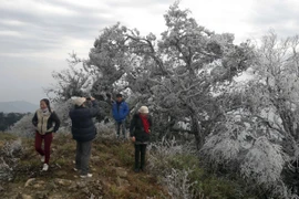 Miền Bắc trở rét, Trung Bộ có nguy cơ xảy ra lũ quét và sạt lở đất 