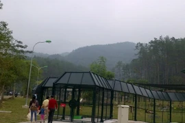 Khánh thành "ngôi nhà gấu" lớn nhất Việt Nam ở Tam Đảo