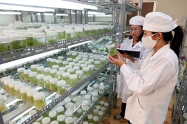 Tái cơ cấu nông nghiệp: Công nghệ là chìa khóa then chốt