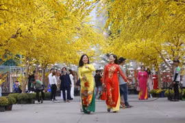 Khi đến với những điểm bán, phiên chợ Tết trên địa bàn Thành phố Hồ Chí Minh, người dân còn có thể chụp ảnh lưu lại không khí Xuân rực rỡ. (Ảnh: TTXVN)
