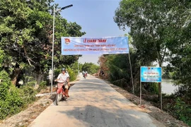 Người dân đi lại thuận lợi trên Đoạn đường kiểu mẫu có đèn chiều sáng tại huyện Bến Lức. (Ảnh: Đức Hạnh/TTXVN)