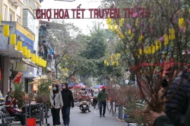 Không gian chợ hoa Hàng Lược chiều 2/2. (Ảnh: Hoàng Hiếu/TTXVN)