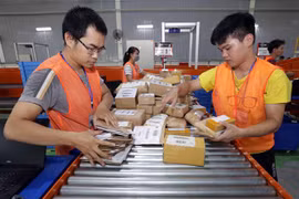 Phân loại hoàng hóa của hãng thương mại điện tử Lazada. (Ảnh: Trần Việt/TTXVN)