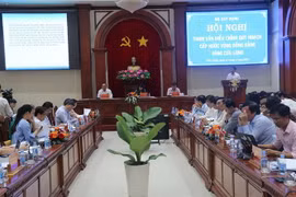 (Ảnh: Minh Trí/TTXVN)