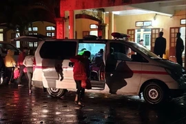 (Ảnh minh họa. TTXVN phát)