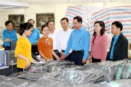 (Ảnh: Công Tường/TTXVN)