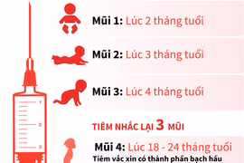 [Infographics] Trẻ em dưới 1 tuổi được tiêm chủng phòng bệnh bạch hầu