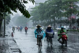 Ảnh minh họa. (Nguồn: Vietnam+)