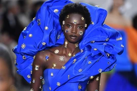 Ảnh minh họa. (Nguồn: EPA-EFE)