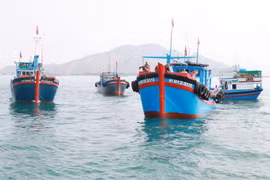 Đội tàu đánh bắt xa bờ của ngư dân Ninh Thuận. (Ảnh: Nguyễn Thành/TTXVN)