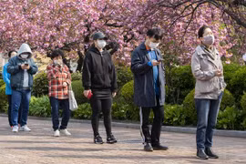 Người dân đeo khẩu trang phòng lây nhiễm COVID-19 tại Seoul, Hàn Quốc. (Ảnh: THX/TTXVN)