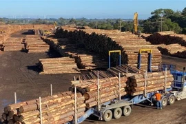 Gỗ xẻ xuất khẩu tại bang Victoria, Australia. (Ảnh: AP/TTXVN)