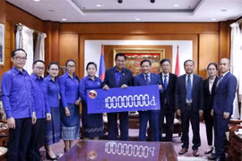 (Ảnh: Phạm Kiên/TTXVN)