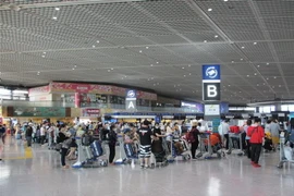 Chờ làm thủ tục ở sân bay Narita, Nhật Bản. (Ảnh: Đào Thanh Tùng/TTXVN)