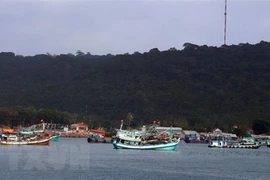 (Ảnh: Lê Huy Hải/TTXVN)