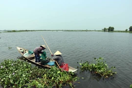 Khu vực cửa sông Ô Lâu nằm trong quy hoạch xây dựng khu Tràm chim của tỉnh Thừa Thiên-Huế. (Ảnh: Đỗ Trưởng/TTXVN)