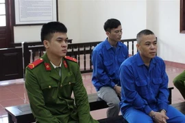 (Ảnh: Vũ Hà/TTXVN)