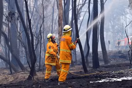 Lực lượng cứu hỏa nỗ lực dập lửa cháy rừng tại Dargan, Australia. (Ảnh: AFP/TTXVN)