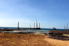 (Nguồn: thanhnien.vn)