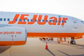 (Nguồn: Jeju Air)