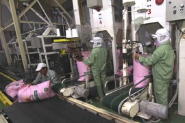 Đóng gói sản phẩm gạo xuất khẩu tại nhà máy của Tập đoàn Lộc Trời (tỉnh An Giang). (Ảnh: Vũ Sinh/TTXVN)