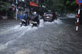 (Ảnh: Hoàng Ngọc/TTXVN)