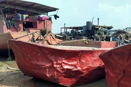 Xác minh, xử lý bất thường về đăng kiểm tàu cũ tại Đắk Lắk, Đắk Nông 