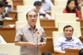 Đại biểu Quốc hội tỉnh Long An Trương Văn Nỏ phát biểu tại một buổi họp. (Ảnh: TTXVN)