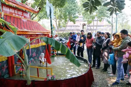 (Ảnh: Nguyễn Lành/TTXVN)