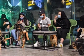 [Photo] Quán càphê đầu tiên dành cho chó tại Saudi Arabia