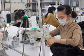 Thực tập sinh Việt Nam tại Công ty TNHH Mishow (Tokyo) đeo khẩu trang trong khi làm việc. (Ảnh: Đào Thanh Tùng/TTXVN)
