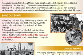 [Infographics] Những phong trào thi đua yêu nước điển hình 