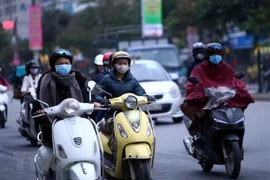 Ảnh minh họa. (Nguồn: TTXVN)