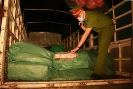 (Ảnh: TTXVN phát)