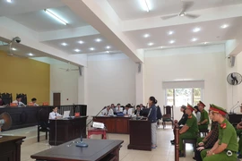 Quang cảnh phiên tòa. (Ảnh: Huyền Trang/TTXVN)
