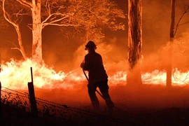 Lực lượng cứu hỏa Australia nỗ lực đập tắt các đám cháy rừng. (Ảnh: AFP/TTXVN)