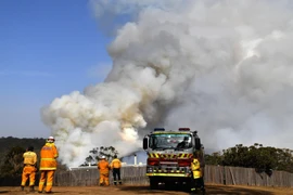 Khói bốc lên trong đám cháy rừng tại Penrose, New South Wales, Australia, ngày 10/1/2020. (Ảnh: AFP/ TTXVN)