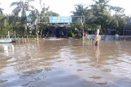 Triều cường dâng cao gây ngập cục bộ nhiều nơi trên địa bàn tỉnh Bạc Liêu. (Ảnh: Huỳnh Sử/TTXVN)