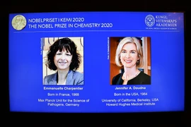 Chân dung hai nhà khoa học nữ Emmanuelle Charpentier (trái, người Pháp) và Jennifer A. Doudna (người Mỹ) đoạt giải Nobel Hóa học 2020 trong cuộc họp báo công bố giải Nobel ở Stockholm, Thụy Điển ngày 7/10/2020. (Ảnh: AFP/TTXVN)