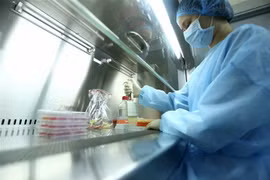 Quá trình phân lập virus của nhóm các nhà khoa học nữ tại Viện Vệ sinh Dịch tễ Trung ương. (Ảnh: Anh Tuấn/TTXVN)