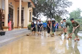 (Ảnh minh họa. Bích Huệ/TTXVN)