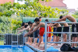 (Ảnh minh họa. Bích Huệ/TTXVN)