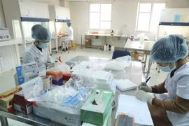 Nhân viên CDC Hà Nội làm xét nghiệm COVID-19. (Ảnh: Minh Quyết/TTXVN)