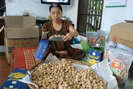  Đóng gói sản phẩm bánh nhãn tại xã Hải Bắc, huyện Hải Hậu. (Ảnh: Nguyễn Lành/TTXVN)