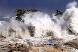 Ảnh minh họa. (Nguồn: newscientist.com)
