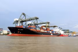 Bốc dỡ hàng hóa tại cảng Cát Lái, TP Hồ Chí Minh. (Ảnh: Thanh Vũ/TTXVN)