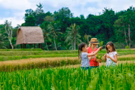 Hayc cho trẻ em cơ hội trải nghiệm và khám phá thiên nhiên, văn hóa bản địa kỳ nghỉ Hè thêm sắc màu ý nghĩa. (Ảnh: CTV/Vietnam+)
